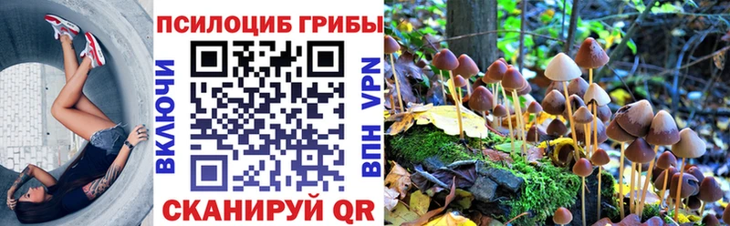 Псилоцибиновые грибы Psilocybine cubensis  маркетплейс состав  Томилино 